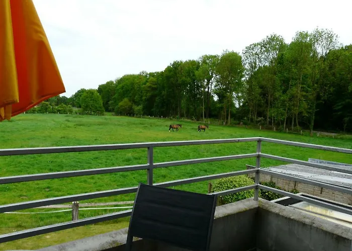 Stadt Trifft Land * Munster (North Rhine-Westphalia)