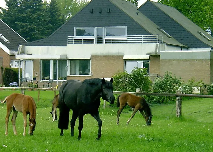 Stadt Trifft Land Daire Munster (North Rhine-Westphalia)